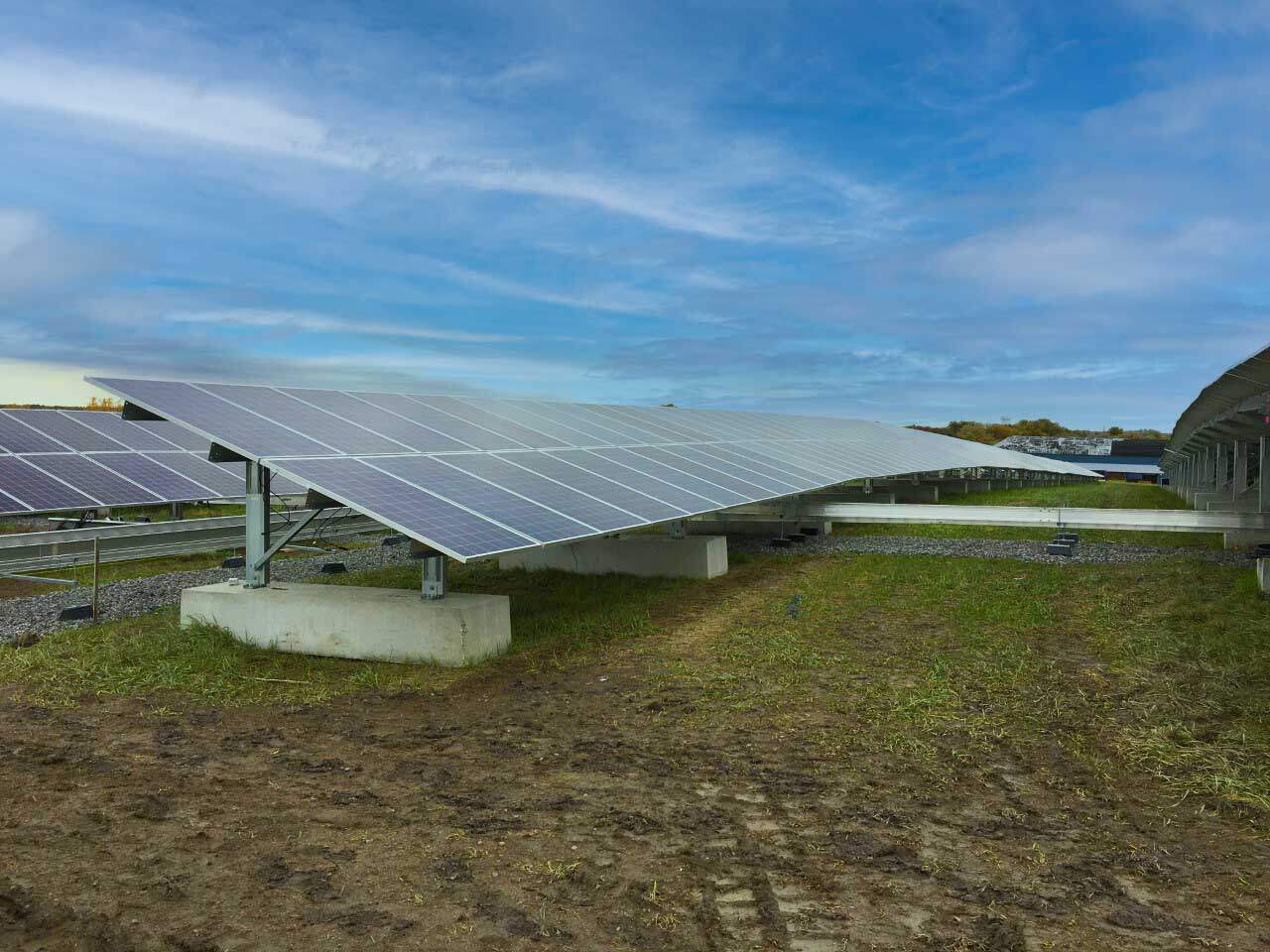 How Solar Liberty Helps Your Organization Progress Towards Net Zero Carbon Emissions