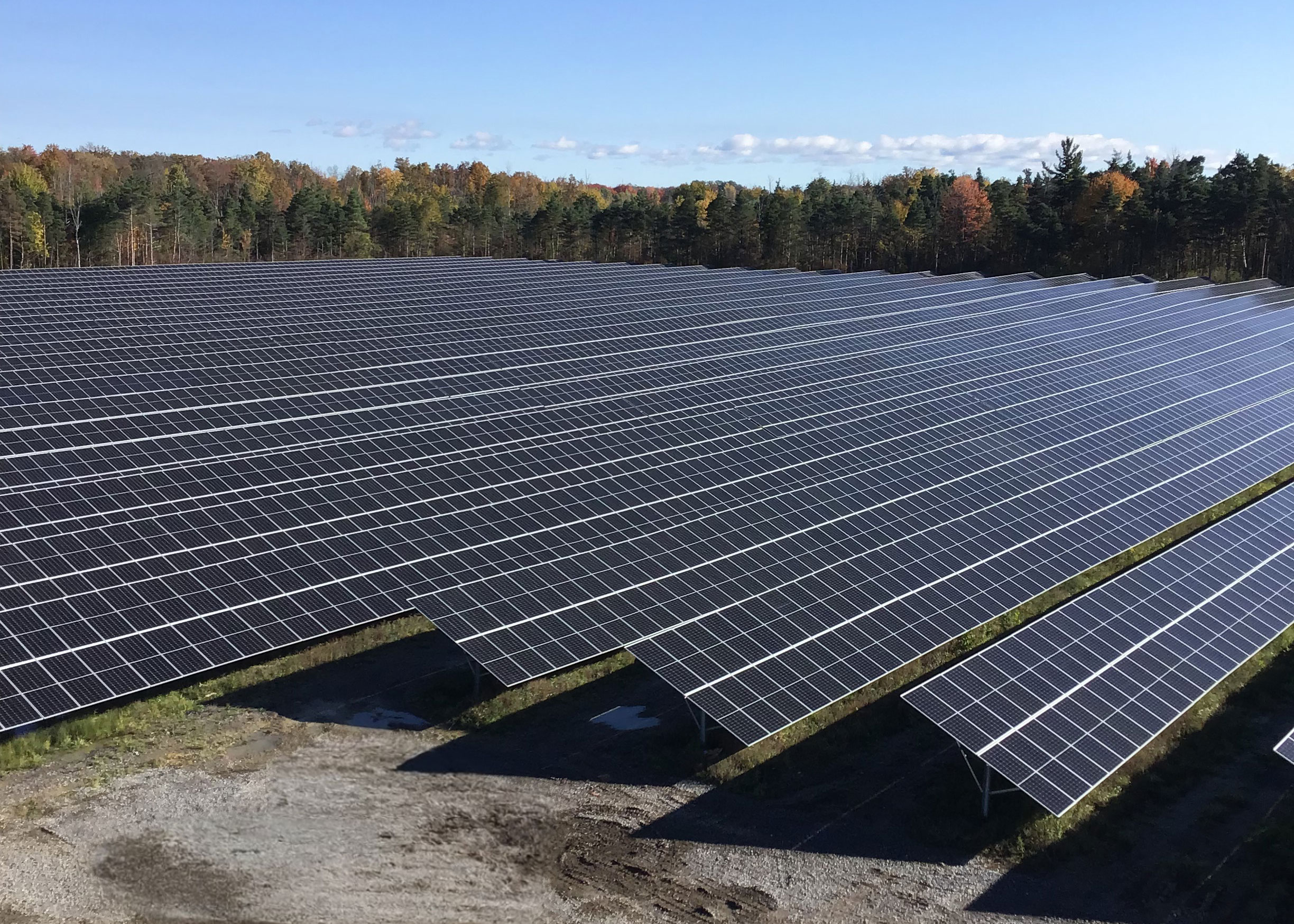 Solar Farm Myths Debunked: 8 Common Misconceptions Explained